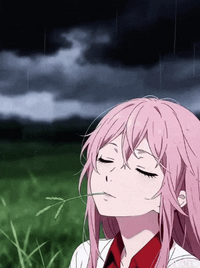 一碗烩面吃三年